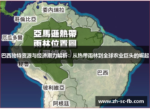 巴西独特资源与经济潜力解析：从热带雨林到全球农业巨头的崛起