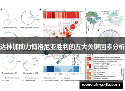 达林加助力博洛尼亚胜利的五大关键因素分析