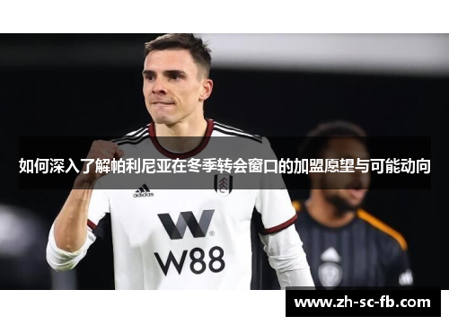 如何深入了解帕利尼亚在冬季转会窗口的加盟愿望与可能动向 如何深入了解帕利尼亚在冬季转会窗口的加盟愿望与可能动向