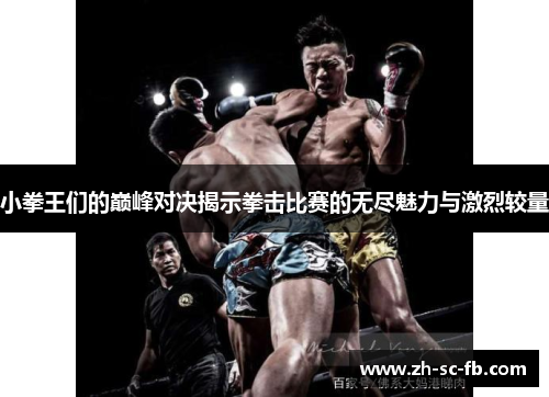 小拳王们的巅峰对决揭示拳击比赛的无尽魅力与激烈较量 小拳王们的巅峰对决揭示拳击比赛的无尽魅力与激烈较量